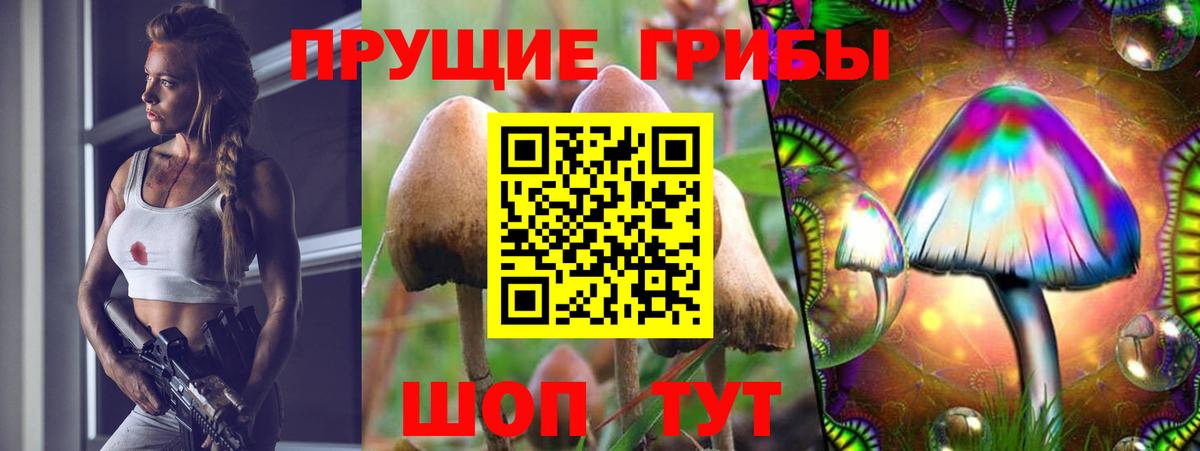 Галлюциногенные грибы ЛСД Аксай